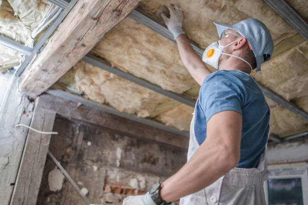 Best Specialized Insulation Services in Bernalillo, NM